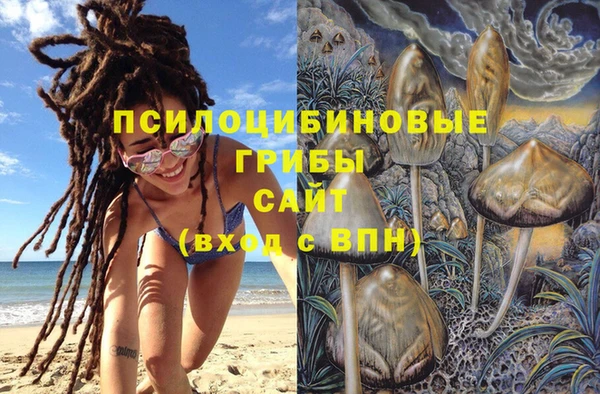 spice Армянск