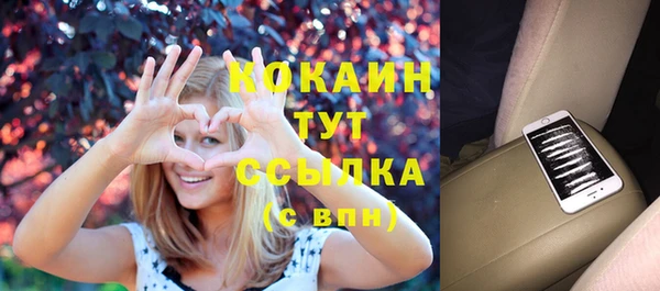 spice Арсеньев