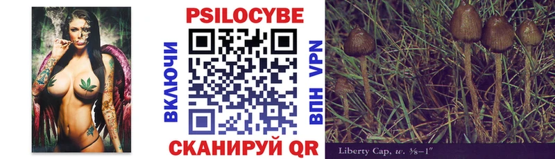 Купить закладки  Семилуки  Галлюциногенные грибы Cubensis 